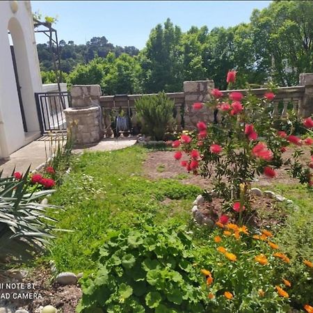 Apartmani Jovanovic Petrovac Kültér fotó