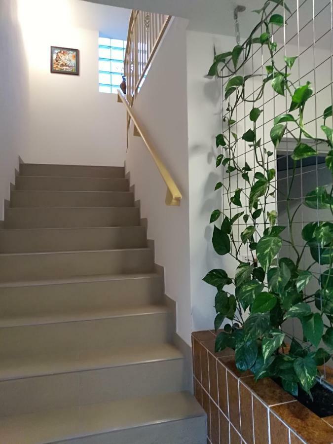 Apartmani Jovanovic Petrovac Kültér fotó