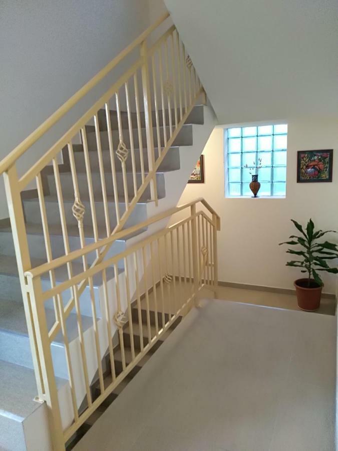 Apartmani Jovanovic Petrovac Kültér fotó