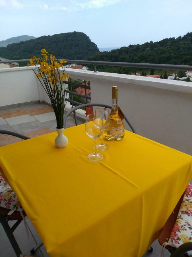 Apartmani Jovanovic Petrovac Kültér fotó