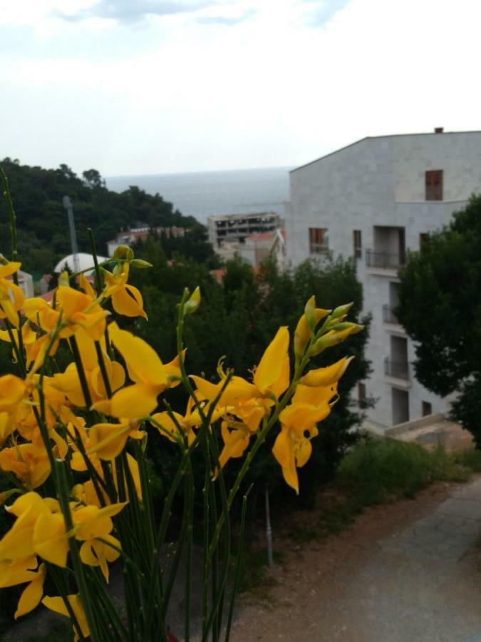 Apartmani Jovanovic Petrovac Kültér fotó