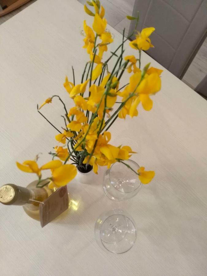 Apartmani Jovanovic Petrovac Kültér fotó